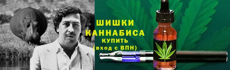 где можно купить   Кинешма  Каннабис сатива 